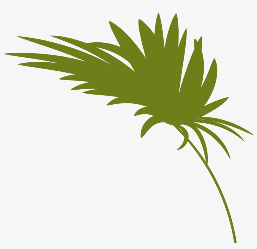 Office Tour - Parkway Dental Associates, transparent png download