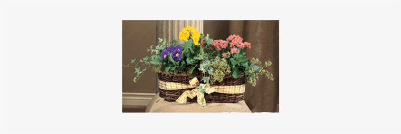 Living Basket - Basket, transparent png download