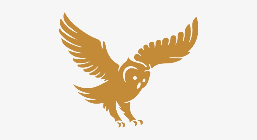 E Snell Owl Icon - Business, transparent png download