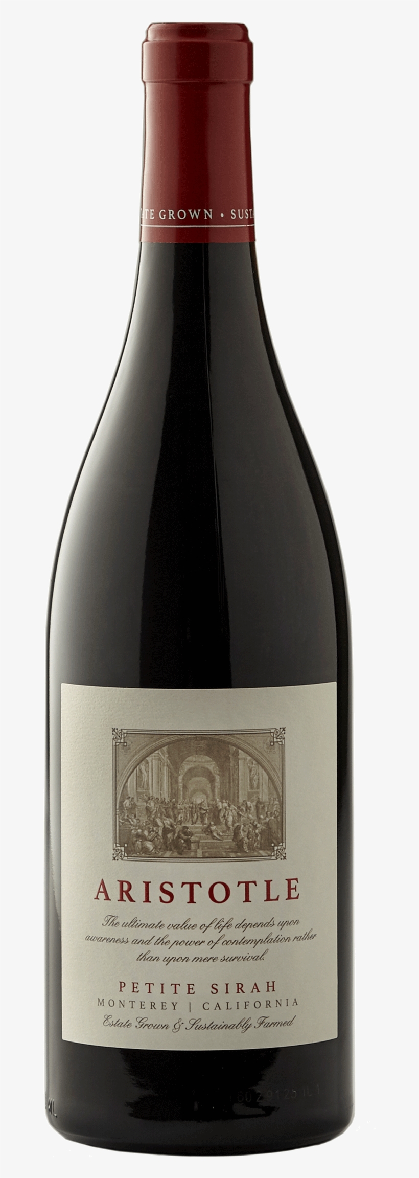 Bottle Image - Aristotle, transparent png download