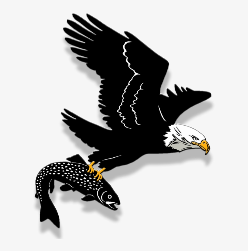 Bald Eagle, transparent png download