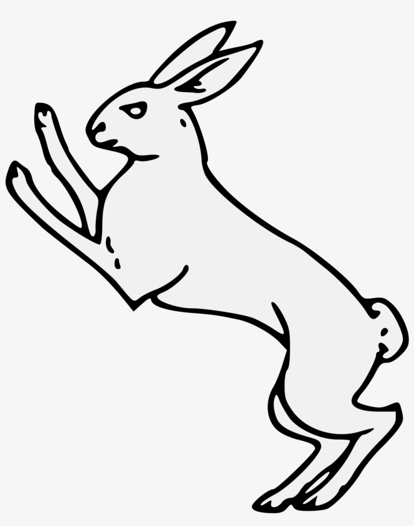Details, Png - Rabbit, transparent png download