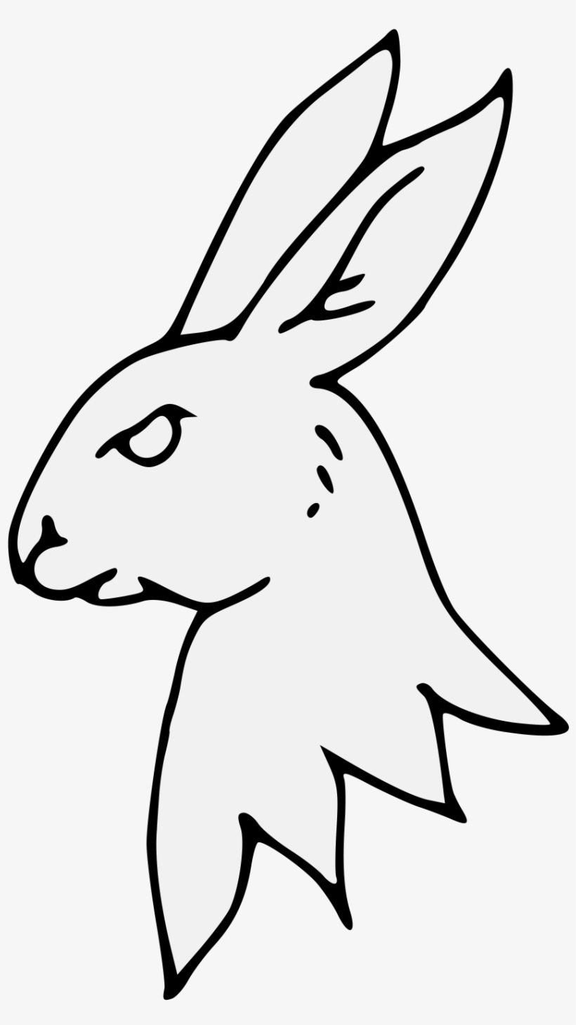 Details, Png - Domestic Rabbit, transparent png download