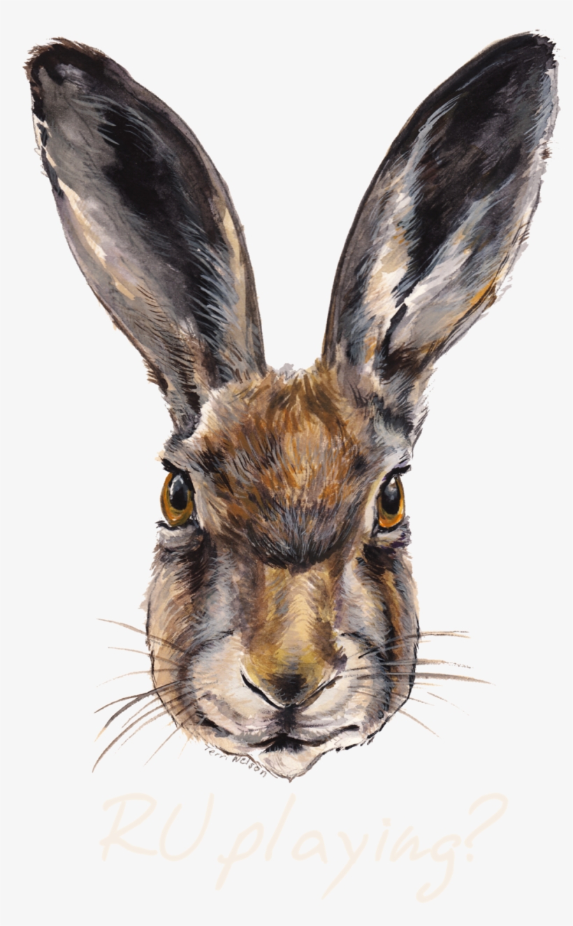 Rabbits Ru Playing Tshirt2rev Ru Playing - T Shirts With Rabbit, transparent png download