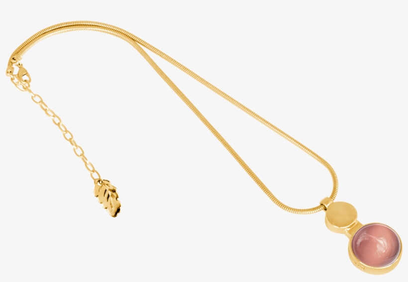 Ioaku Moon Amulet Necklace 45 Gold Light Pink - Necklace, transparent png download