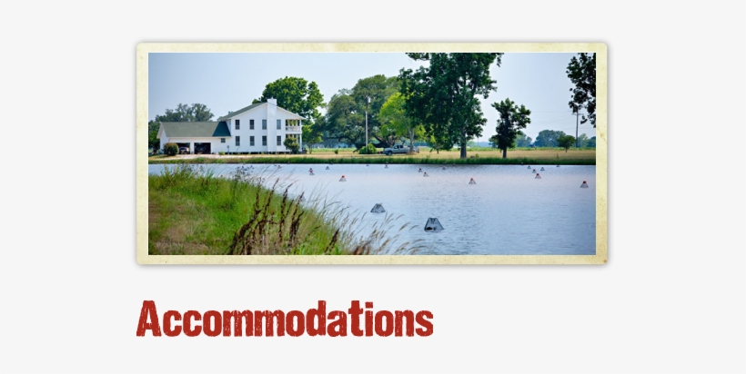 Days Inn Abbeville - Florence Club Louisiana, transparent png download