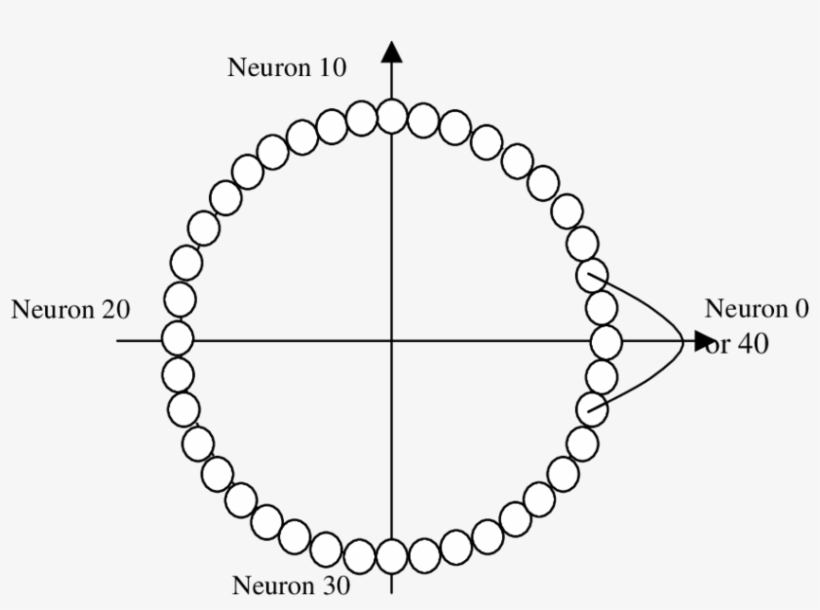 Angular Variable Can Be Represented By A Circle Of - Coloring Book, transparent png download