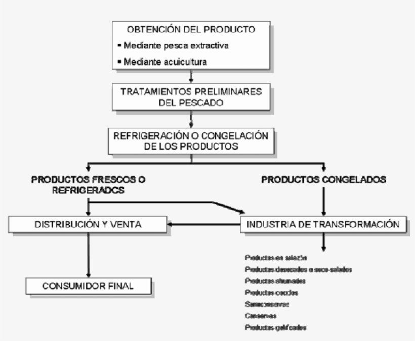 Etapas Del Proceso Productivo De La Industria Pesquera - Etapas Del Proceso Productivo, transparent png download