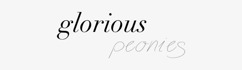 Glorious Peonies - Perilous West By Larry E. Morris, transparent png download