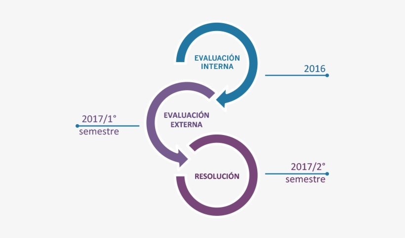 Ocultar Etapas Del Proceso De Acreditación Institucional - Graphic Design, transparent png download