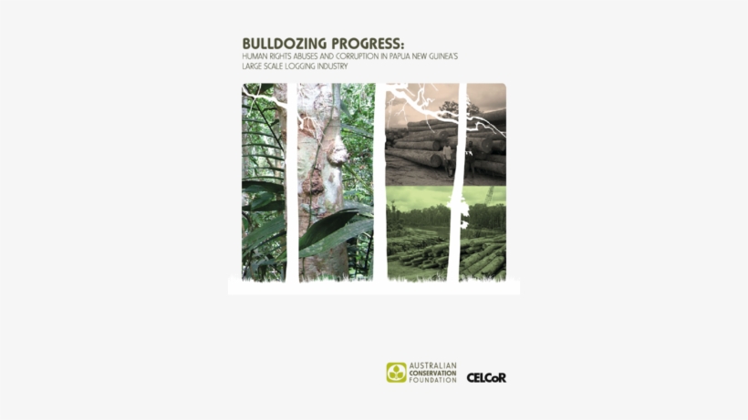 Human Rights Abuses And Corruption In Png's Large Scale - Sabal Palmetto, transparent png download