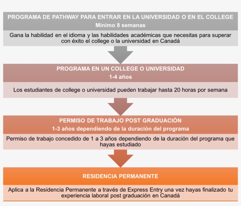 Proceso De Residencia Canadiense - Three Steps Of Target Marketing, transparent png download