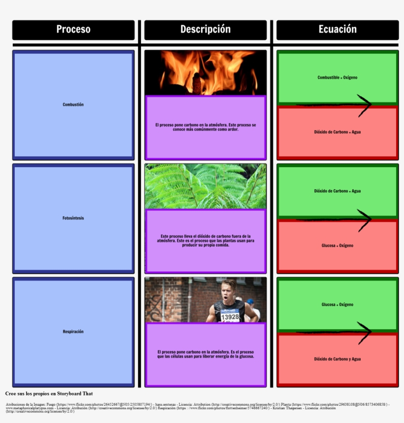 Procesos En El Ciclo Del Carbono - Carbon Cycle, transparent png download