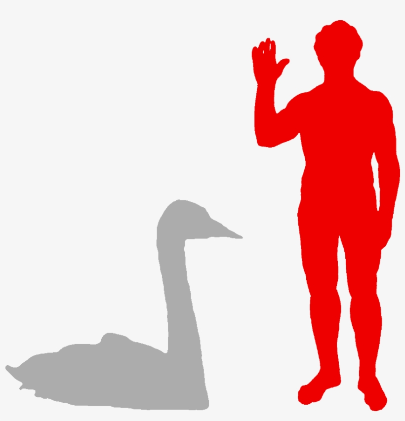 Velociraptor Next To Human, transparent png download