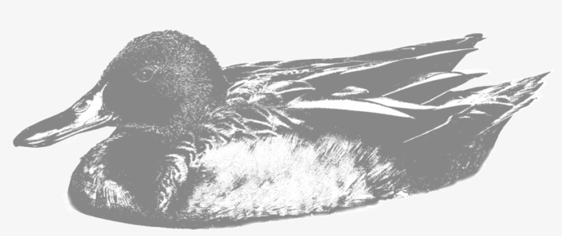 Cinamon - New Mexico, transparent png download