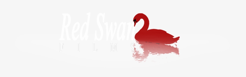 Black Swan, transparent png download