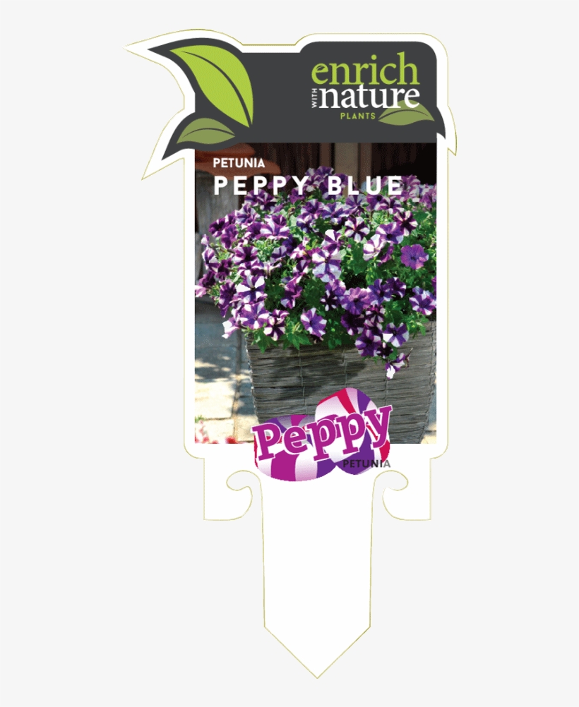 Petunia Peppy Blue Label0 - Portable Network Graphics, transparent png download