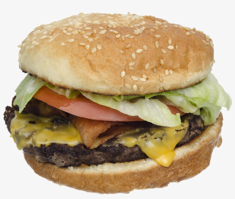 Delicious Hamburger Png Image - Just Usa - 3,500 American Quiz Questions And Nothing, transparent png download