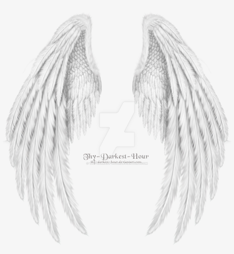 Похожее Изображение - Folded Wings, transparent png download