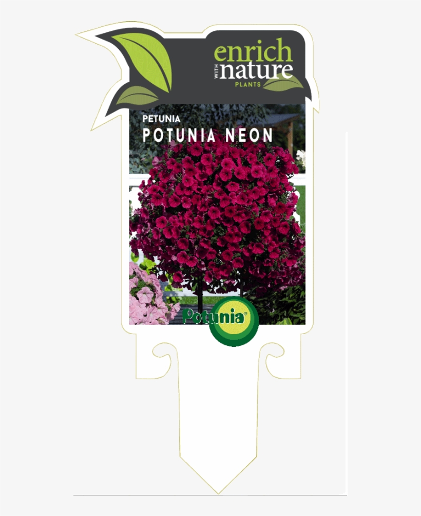 Potunia Neon Label0 - Portable Network Graphics, transparent png download