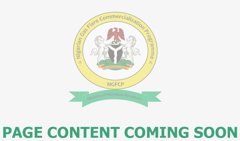 Ngfcp Coming Soon Page - 2014 National Conference Report, transparent png download