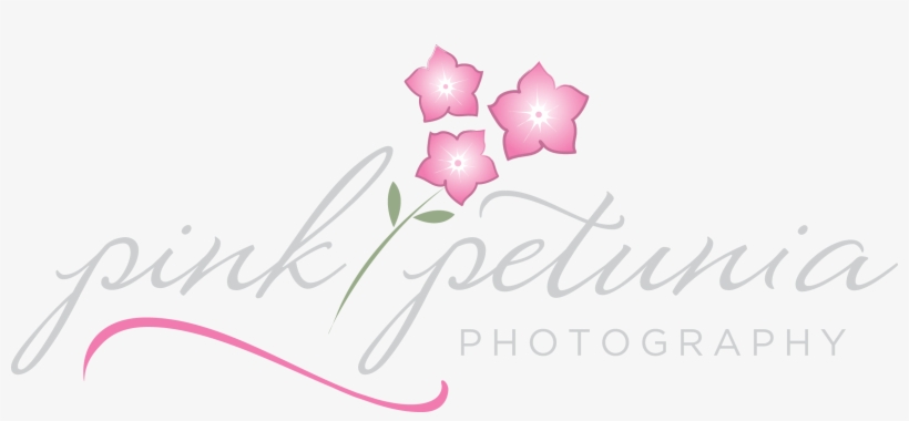 Photography, transparent png download