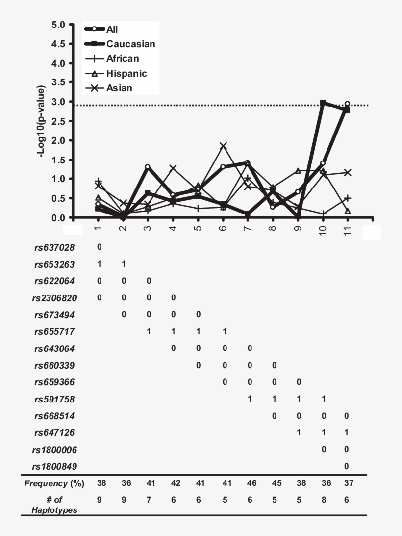 Sliding Window Haplotype-based Studies Of 14 Tsnps - Diagram, transparent png download