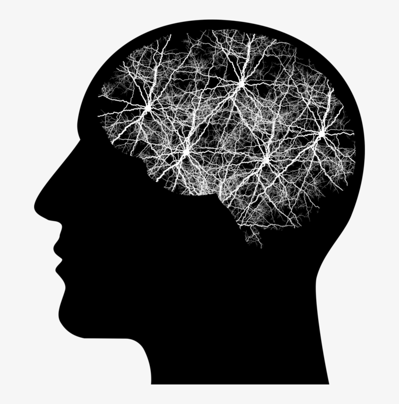 Human Brain Human Head Brain Tumor - Higiene Mental, transparent png download