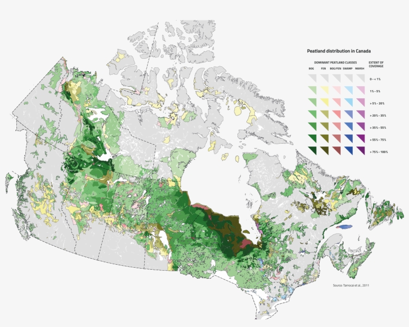 Peatland Distribution In Canada's Provinces And Territories - Canada Map Magnet Chart, transparent png download