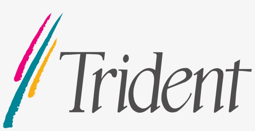 Trident Microsystems, transparent png download