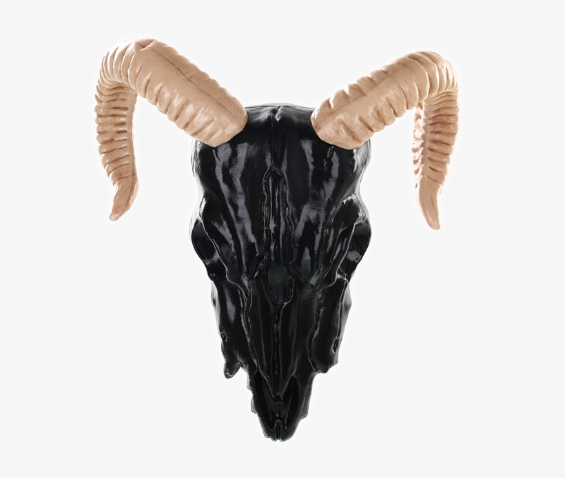 Black / Bone - Sheep, transparent png download