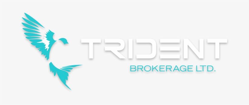 Trident Brokerage Ltd Logo - Trident Brokerage Services Llc, transparent png download