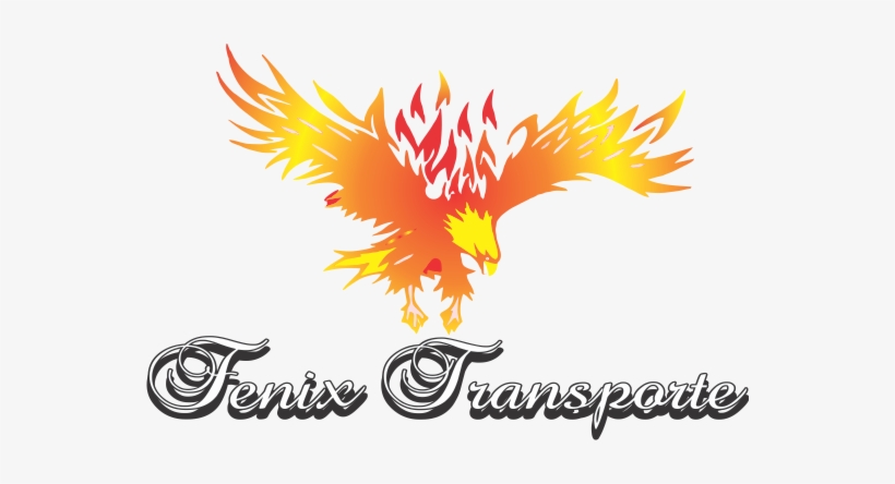 Photography, transparent png download