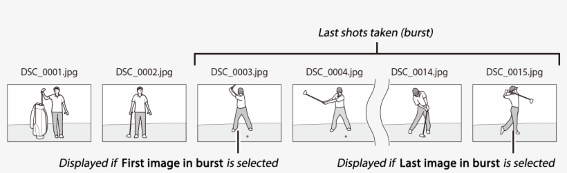 Controls Whether The Photo Displayed At The End Of - Illustration, transparent png download