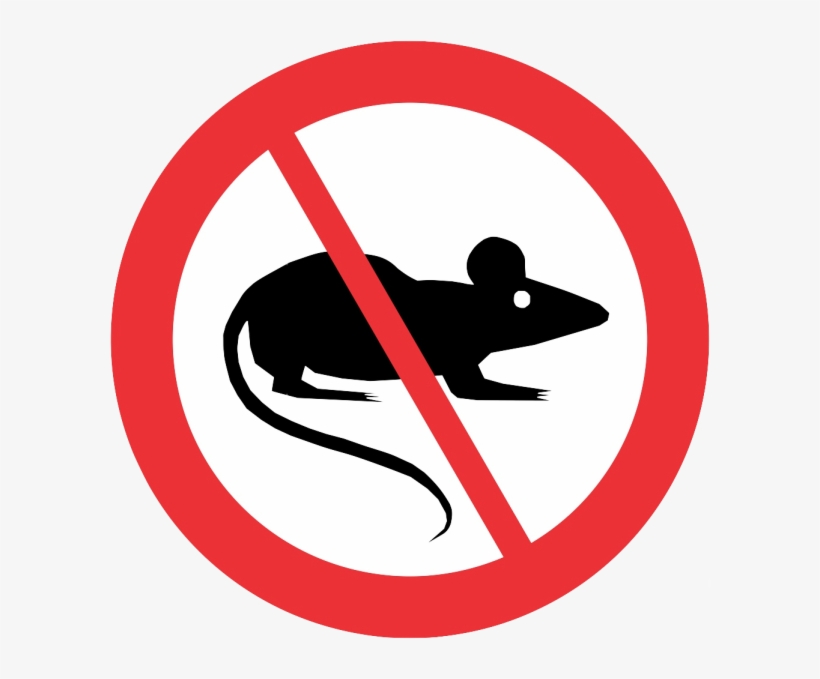 No Rats, transparent png download