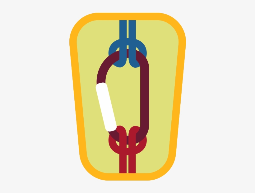 On This Treetop Challenge Course, Adventure Seekers - Forest, transparent png download