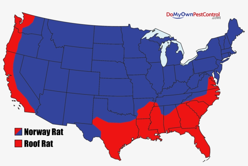 Rat Map - Scottsdale Arizona On Map, transparent png download