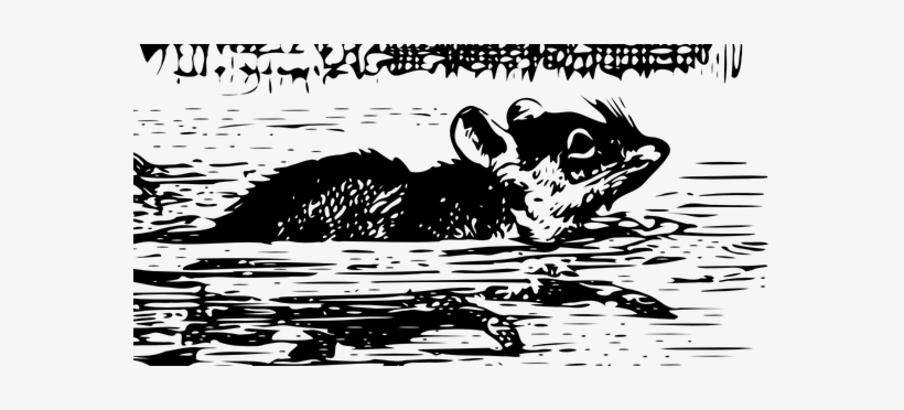 Rat Swimming - Alice In Wonderland Illustration Rat, transparent png download