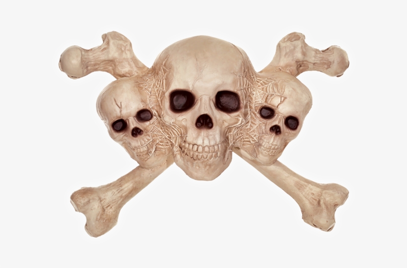Skulls & Cross Bones - Skull, transparent png download