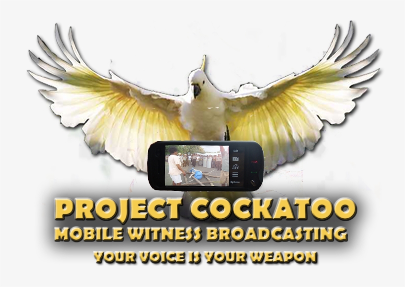 Project Cockatoo Source Secure Mobile Broadcasting - Mobile Phone, transparent png download