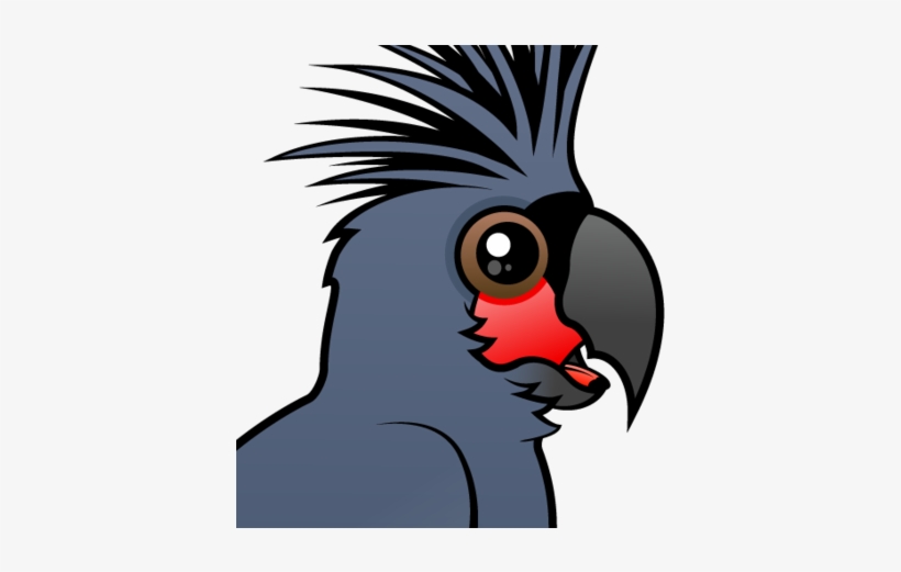 About The Palm Cockatoo - Palm Cockatoo, transparent png download