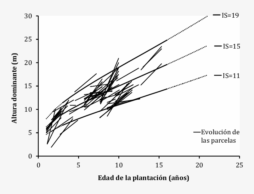Anamorphic Curves Of Dominant Height With Hossfeldiv - Mexico, transparent png download