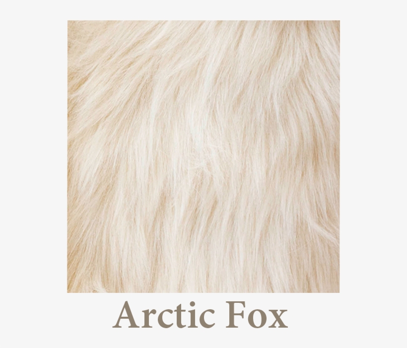 Product Gallery Image - Product, transparent png download