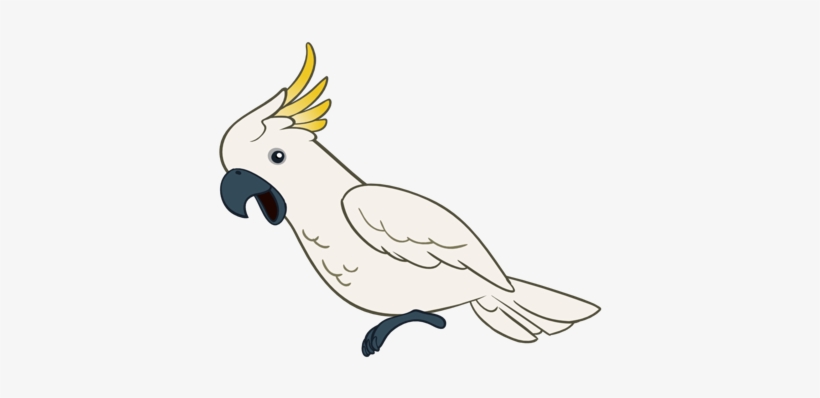 The Following Is A Statement By Pet City That Generally - Perth, transparent png download