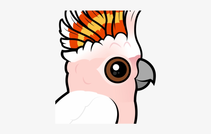 About The Pink Cockatoo - Major Mitchells Cockatoo Clipart, transparent png download