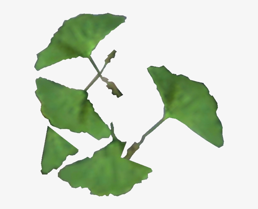Ginko Leaf - Лист Гинкго Пнг, transparent png download