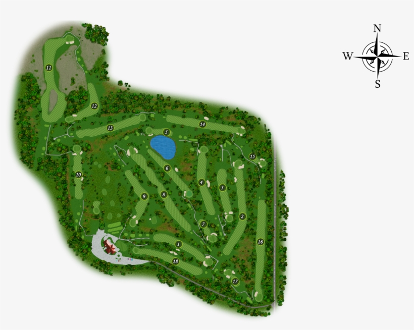 Ted Leibole - Grass, transparent png download