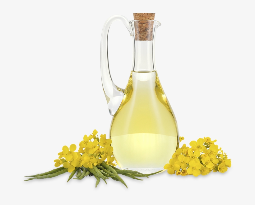 Canola Oil - Canola Oil Png Transparent, transparent png download