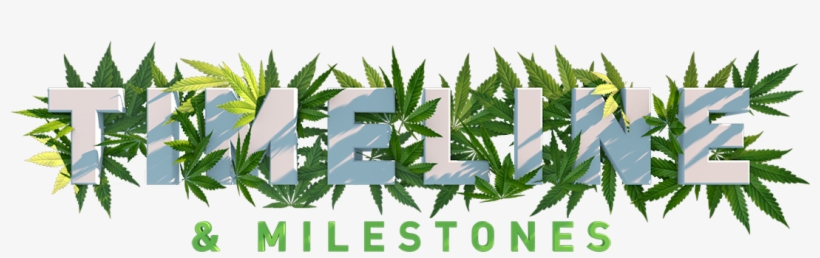 Next Green Wave Is Well Positioned To Become A Key - Tree, transparent png download