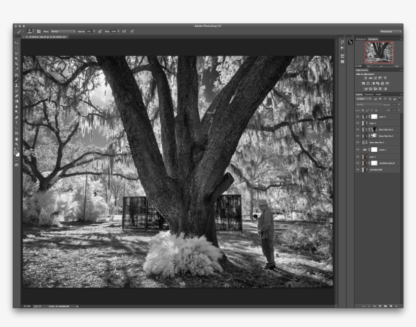 I Like The Sky And Canopy Glow, The Dark Tree, The - Musical Composition, transparent png download